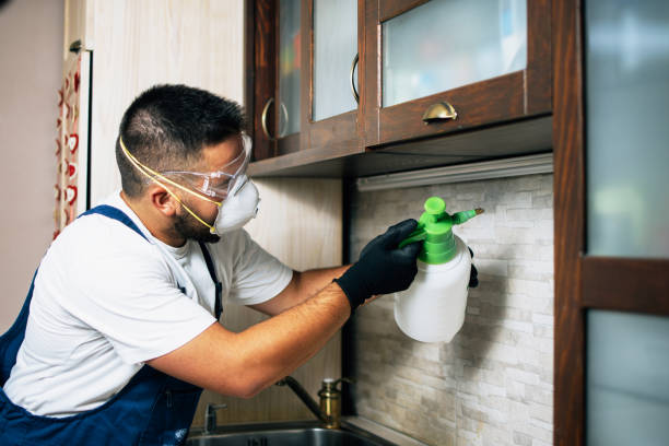 Best Termite Control Services  in Miamisburg, OH