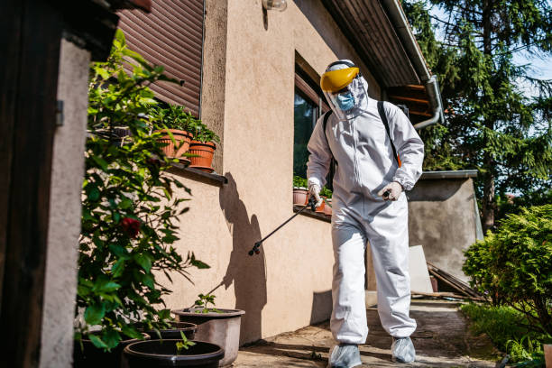 Best Local Pest Control Services  in Miamisburg, OH