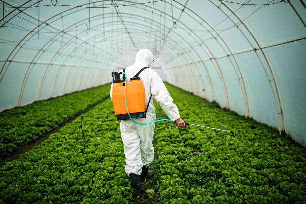 Best Best Pest Control Companies  in Miamisburg, OH