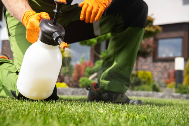 Wasp Removal Services in Miamisburg, OH