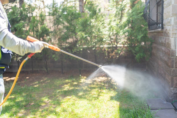 Best Mosquito Control Services  in Miamisburg, OH