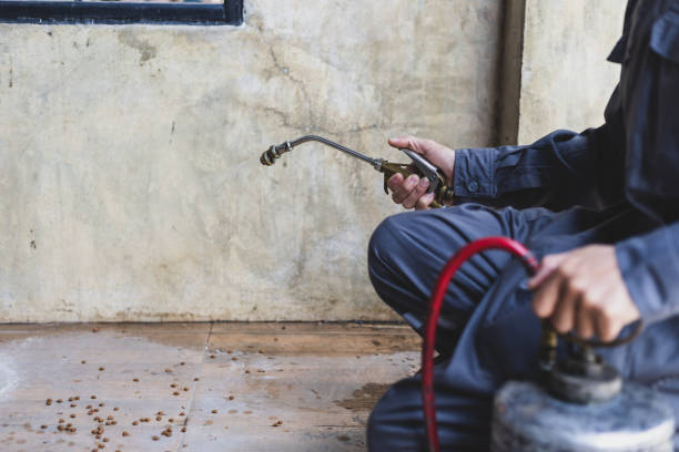 Pest Prevention Services in Miamisburg, OH