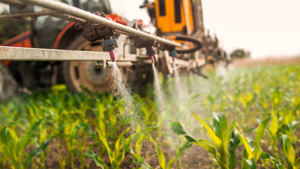 Reliable Miamisburg, OH Pest Control Solutions