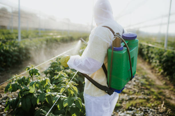 Best Pest Inspection Near Me  in Miamisburg, OH